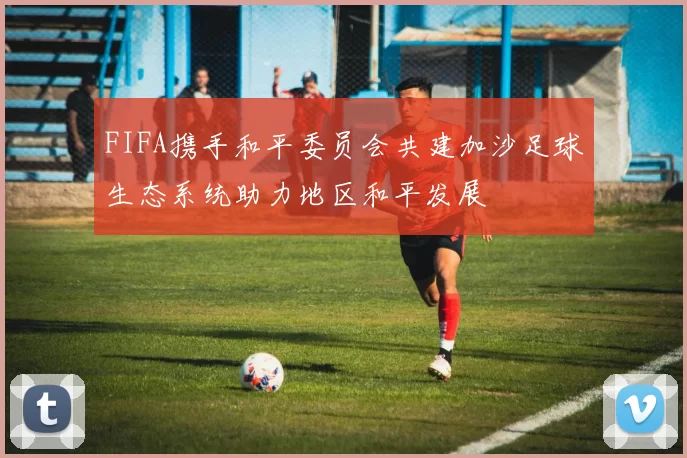 FIFA携手和平委员会共建加沙足球生态系统助力地区和平发展
